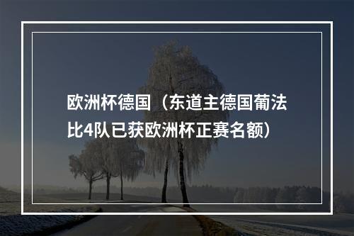 欧洲杯德国（东道主德国葡法比4队已获欧洲杯正赛名额）