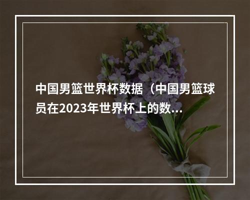 中国男篮世界杯数据（中国男篮球员在2023年世界杯上的数据表现揭秘）