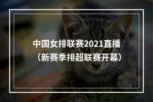 中国女排联赛2021直播（新赛季排超联赛开幕）