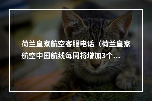 荷兰皇家航空客服电话（荷兰皇家航空中国航线每周将增加3个航班）