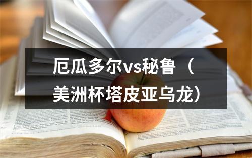 厄瓜多尔vs秘鲁（美洲杯塔皮亚乌龙）