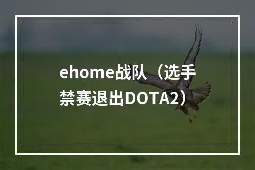 ehome战队（选手禁赛退出DOTA2）