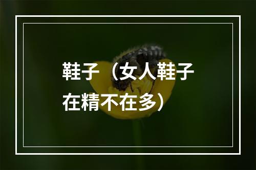 鞋子（女人鞋子在精不在多）