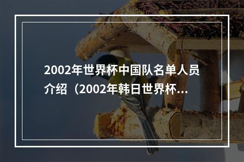 2002年世界杯中国队名单人员介绍（2002年韩日世界杯中国队大名单另有隐情）