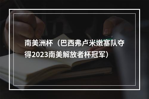 南美洲杯（巴西弗卢米嫩塞队夺得2023南美解放者杯冠军）