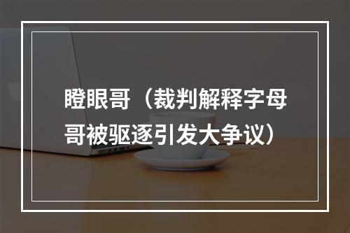 瞪眼哥（裁判解释字母哥被驱逐引发大争议）