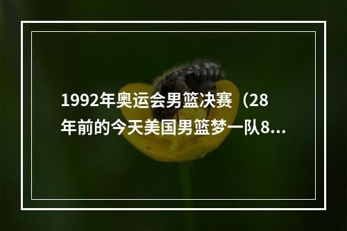 1992年奥运会男篮决赛（28年前的今天美国男篮梦一队8战全胜夺冠）