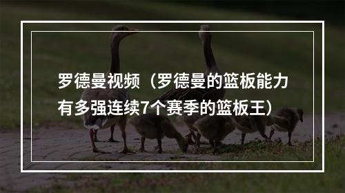 罗德曼视频（罗德曼的篮板能力有多强连续7个赛季的篮板王）