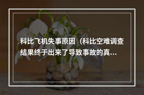 科比飞机失事原因（科比空难调查结果终于出来了导致事故的真正原因出炉了）