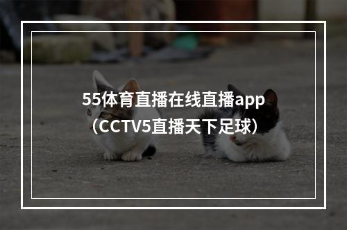 55体育直播在线直播app（CCTV5直播天下足球）