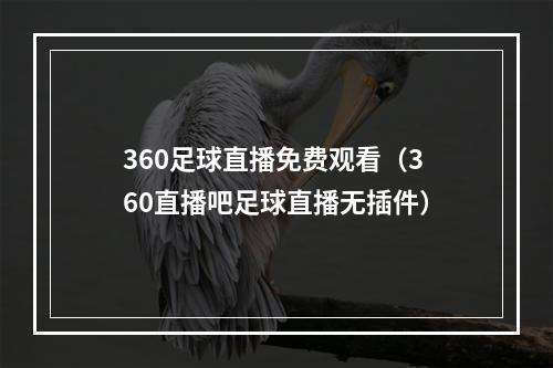 360足球直播免费观看（360直播吧足球直播无插件）