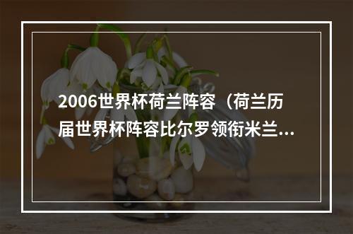 2006世界杯荷兰阵容（荷兰历届世界杯阵容比尔罗领衔米兰德利赫特23岁）