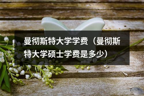 曼彻斯特大学学费（曼彻斯特大学硕士学费是多少）