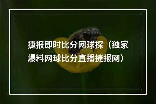 捷报即时比分网球探（独家爆料网球比分直播捷报网）