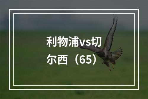 利物浦vs切尔西（65）