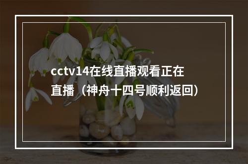 cctv14在线直播观看正在直播（神舟十四号顺利返回）