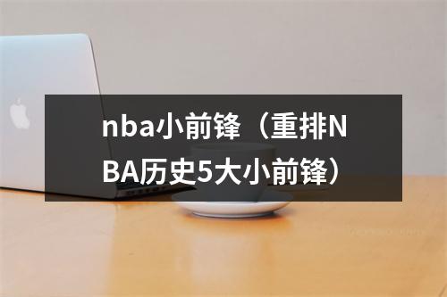 nba小前锋（重排NBA历史5大小前锋）