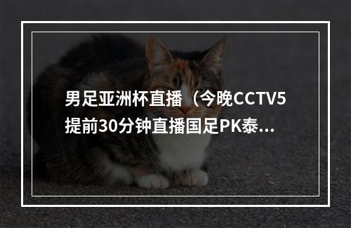 男足亚洲杯直播（今晚CCTV5提前30分钟直播国足PK泰国男足 武磊等领衔冲击世界杯）