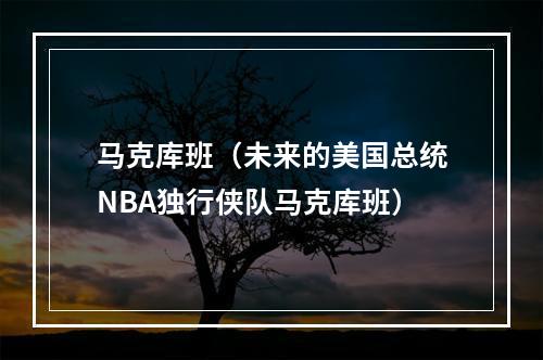 马克库班（未来的美国总统NBA独行侠队马克库班）