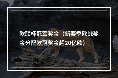 欧联杯冠军奖金（新赛季欧战奖金分配欧冠奖金超20亿欧）