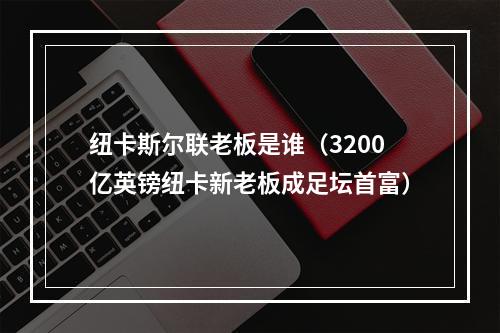 纽卡斯尔联老板是谁（3200亿英镑纽卡新老板成足坛首富）