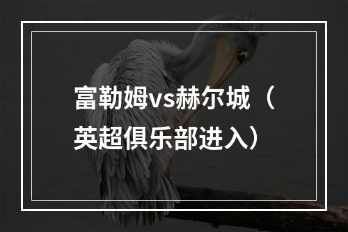 富勒姆vs赫尔城（英超俱乐部进入）