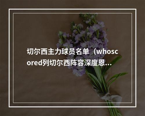 切尔西主力球员名单（whoscored列切尔西阵容深度恩佐詹皇恩昆库杰克逊为4核心）