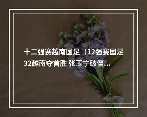 十二强赛越南国足（12强赛国足32越南夺首胜 张玉宁破僵局武磊2球读秒绝杀）