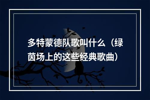 多特蒙德队歌叫什么（绿茵场上的这些经典歌曲）