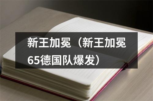 新王加冕（新王加冕65德国队爆发）