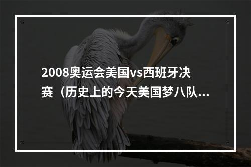 2008奥运会美国vs西班牙决赛（历史上的今天美国梦八队击败西班牙夺得奥运会冠军）