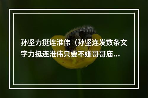 孙坚力挺连淮伟（孙坚连发数条文字力挺连淮伟只要不嫌哥哥庙小）