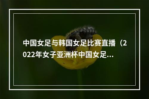 中国女足与韩国女足比赛直播（2022年女子亚洲杯中国女足对阵韩国女足直播回放）