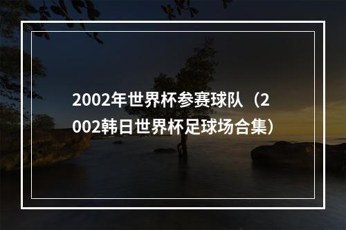 2002年世界杯参赛球队（2002韩日世界杯足球场合集）