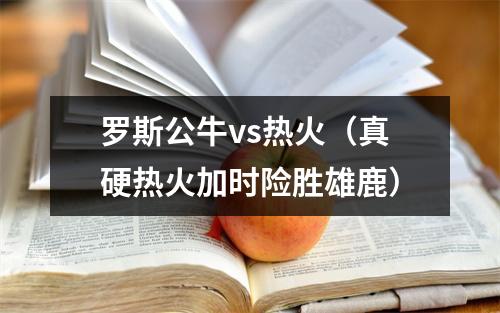 罗斯公牛vs热火（真硬热火加时险胜雄鹿）